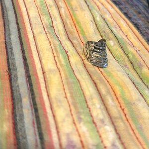 Sterling Silver Diamond cut ring